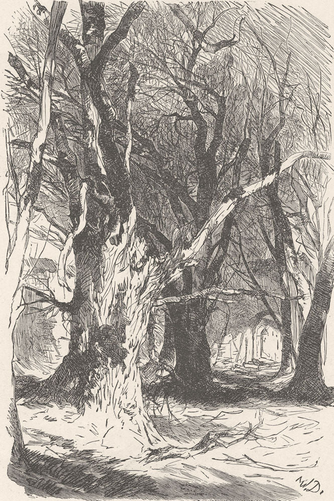 FRANCE. On the road to Dusenbach 1903 old antique vintage print picture